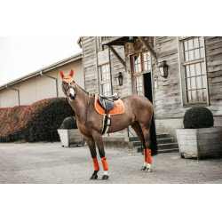 Tapis de selle Velvet jumping Kentucky Orange Tapis de selle Velvet jumping Kentucky Orange