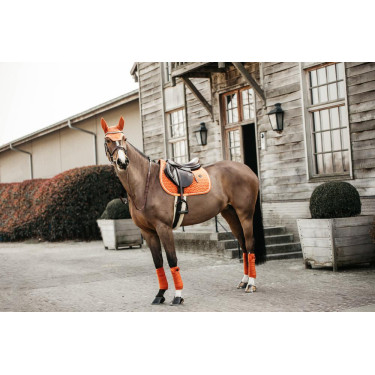 Tapis de selle Velvet jumping Kentucky Orange Tapis de selle Velvet jumping Kentucky Orange