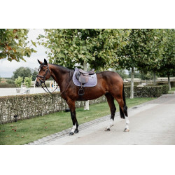 Tapis de selle Velvet jumping Kentucky Mauve Violet Tapis de selle Velvet jumping Kentucky Mauve Violet