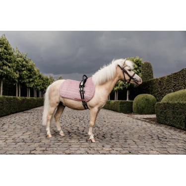 Tapis de selle Velvet jumping Kentucky Vieux rose Tapis de selle Velvet jumping Kentucky Vieux rose