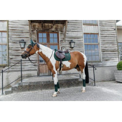 Tapis de selle Velvet Pearls jumping Kentucky Vert sapin Tapis de selle Velvet Pearls jumping Kentucky Vert sapin