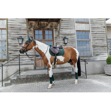 Tapis de selle Velvet Pearls jumping Kentucky Tapis de selle Velvet Pearls jumping Kentucky