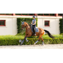 Bandes de polo Loire LeMieux Bleu jay