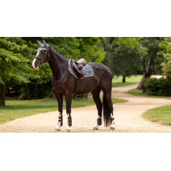 Tapis LeMieux Loire Classic Close Contact Square Bleu jay