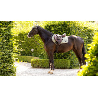Tapis LeMieux Loire Classic Close Contact Square Fern