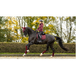 Tapis LeMieux Crystal Suede Dressage