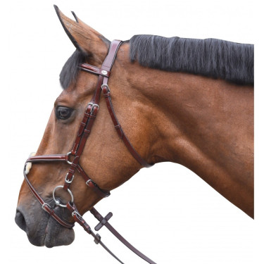 Bridon Lexington Austin Croise Bridon Lexington Austin Croise