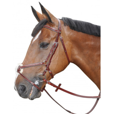 Bridon Lexington Denver Croise Bridon Lexington Denver Croise