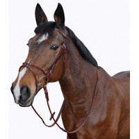 Bridon Lexington Atlanta...