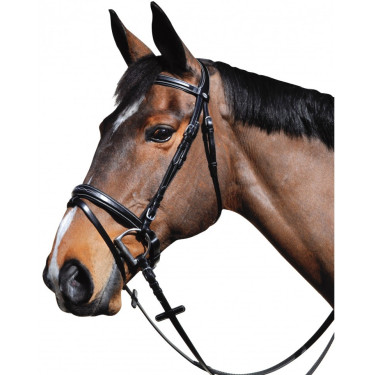 Bridon Lexington Pull Back Boston Bridon Lexington Pull Back Boston