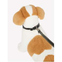 Collier et laisse pour chiot LeMieux Toy Chilli