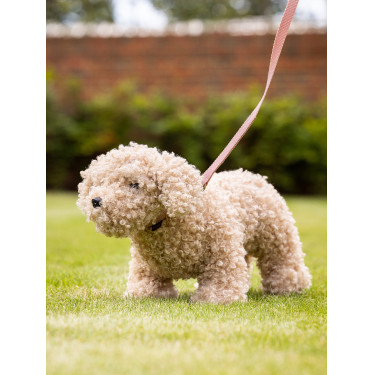 Collier et laisse pour chiot LeMieux Toy Collier et laisse pour chiot LeMieux Toy