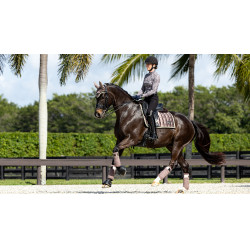 Tapis LeMieux Merino Loire Classic Dressage Square