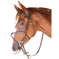 Bridon Cabourg Croisé Privilege Equitation Noir