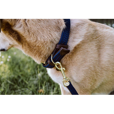 Collier pour chien Plaited Nylon Kentucky Collier pour chien Plaited Nylon Kentucky