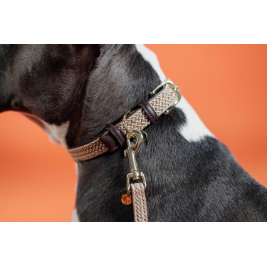 Collier pour chien Plaited Nylon Kentucky Beige Collier pour chien Plaited Nylon Kentucky Beige