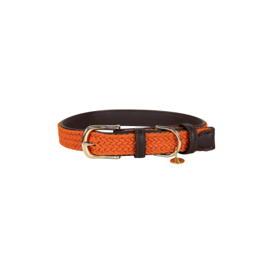 Collier pour chien Plaited Nylon Kentucky Collier pour chien Plaited Nylon Kentucky