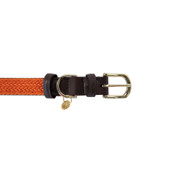 Collier pour chien Plaited Nylon Kentucky Orange Collier pour chien Plaited Nylon Kentucky Orange