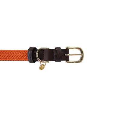 Collier pour chien Plaited Nylon Kentucky Collier pour chien Plaited Nylon Kentucky