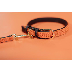 Collier pour chien Plaited Nylon Kentucky Orange Collier pour chien Plaited Nylon Kentucky Orange