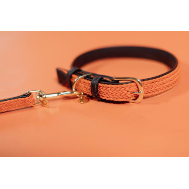 Collier pour chien Plaited Nylon Kentucky Collier pour chien Plaited Nylon Kentucky