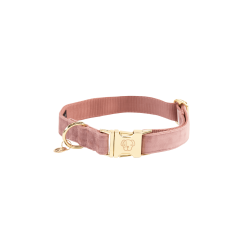 Collier pour chien Velvet Kentucky Vieux rose Collier pour chien Velvet Kentucky Vieux rose