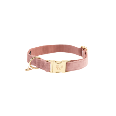 Collier pour chien Velvet Kentucky Collier pour chien Velvet Kentucky