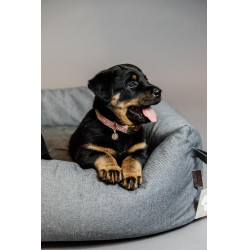 Collier pour chien Velvet Kentucky Vieux rose Collier pour chien Velvet Kentucky Vieux rose