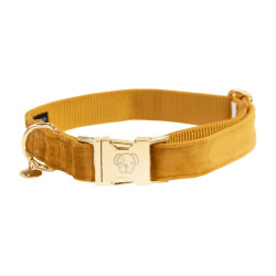 Collier pour chien Velvet Kentucky Moutarde Jaune