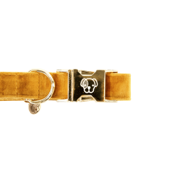 Collier pour chien Velvet Kentucky Moutarde Jaune Collier pour chien Velvet Kentucky Moutarde Jaune