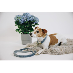Collier pour chien Velvet Kentucky Bleu clair