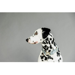 Collier pour chien Velvet Kentucky Bleu clair Collier pour chien Velvet Kentucky Bleu clair