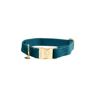 Collier pour chien Velvet Kentucky Emeraude Vert
