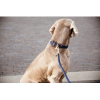 Laisse pour chien Plaited Nylon 120 cm Kentucky Bleu marine Laisse pour chien Plaited Nylon 120 cm Kentucky Bleu marine