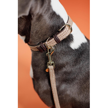 Laisse pour chien Plaited Nylon 120 cm Kentucky Laisse pour chien Plaited Nylon 120 cm Kentucky