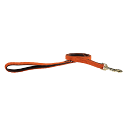 Laisse pour chien Plaited Nylon 120 cm Kentucky Orange