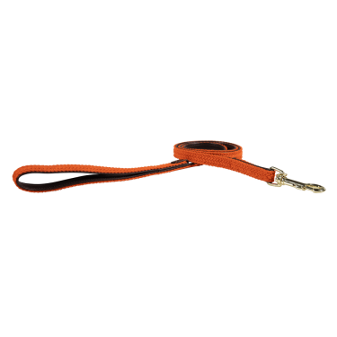 Laisse pour chien Plaited Nylon 120 cm Kentucky Laisse pour chien Plaited Nylon 120 cm Kentucky