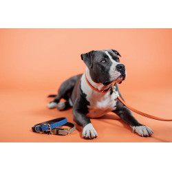 Laisse pour chien Plaited Nylon 120 cm Kentucky Orange