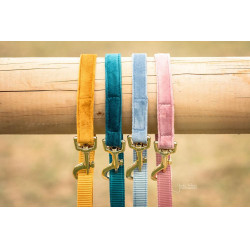 Laisse pour chien Velvet 120 cm Kentucky Bleu clair