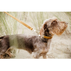 Laisse pour chien Velvet 120 cm Kentucky