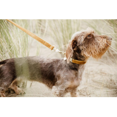 Laisse pour chien Velvet 120 cm Kentucky Moutarde