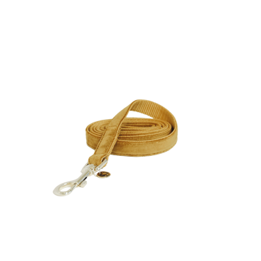 Laisse pour chien Velvet 120 cm Kentucky Laisse pour chien Velvet 120 cm Kentucky