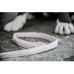 Laisse pour chien Velvet 120 cm Kentucky Rose pâle