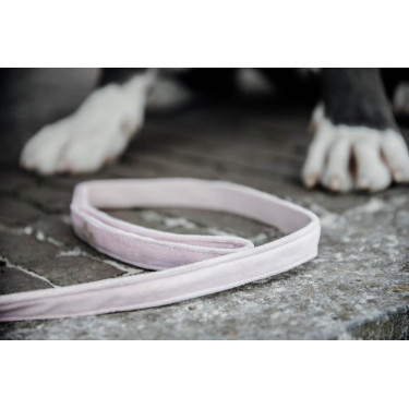 Laisse pour chien Velvet 120 cm Kentucky Rose pâle