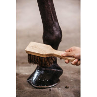 Brosse à sabots Kentucky Marron