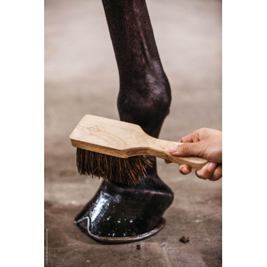 Brosse à sabots Kentucky Brosse à sabots Kentucky