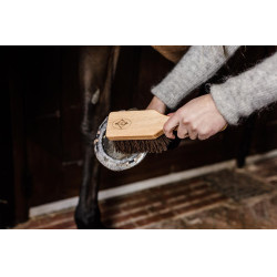 Brosse à sabots Kentucky Marron Brosse à sabots Kentucky Marron