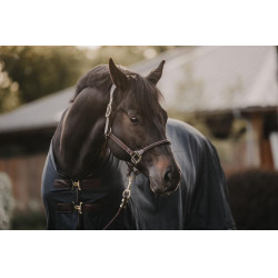 Chemise Anti-mouches Kentucky Bleu marine Chemise Anti-mouches Kentucky Bleu marine