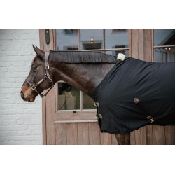 Chemise Coton Kentucky Noir Chemise Coton Kentucky Noir