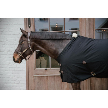 Chemise Coton Kentucky Chemise Coton Kentucky